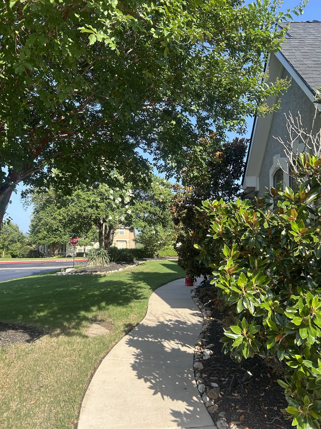 Clean concrete walkway and front entry after a Lakeway Exterior Wash visit